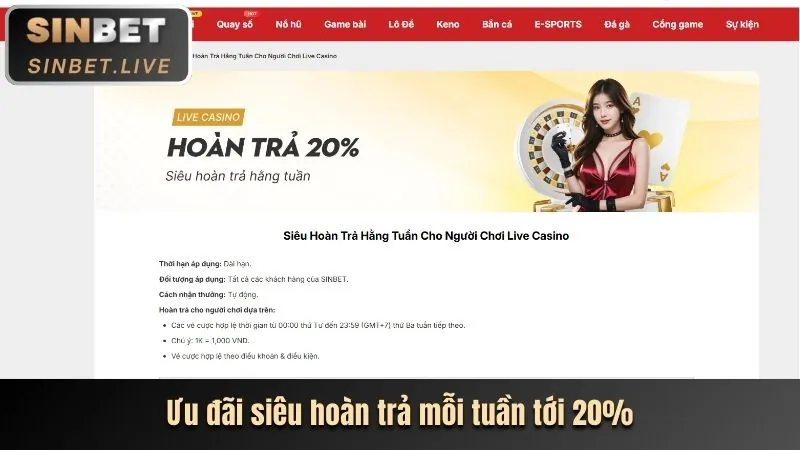 Minh họa sử dụng dữ liệu để nâng cao trải nghiệm người dùng tại sv388link casino